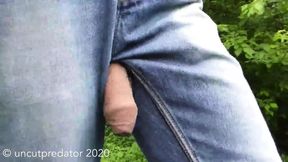Big flaccid cock shows off in forest hike
